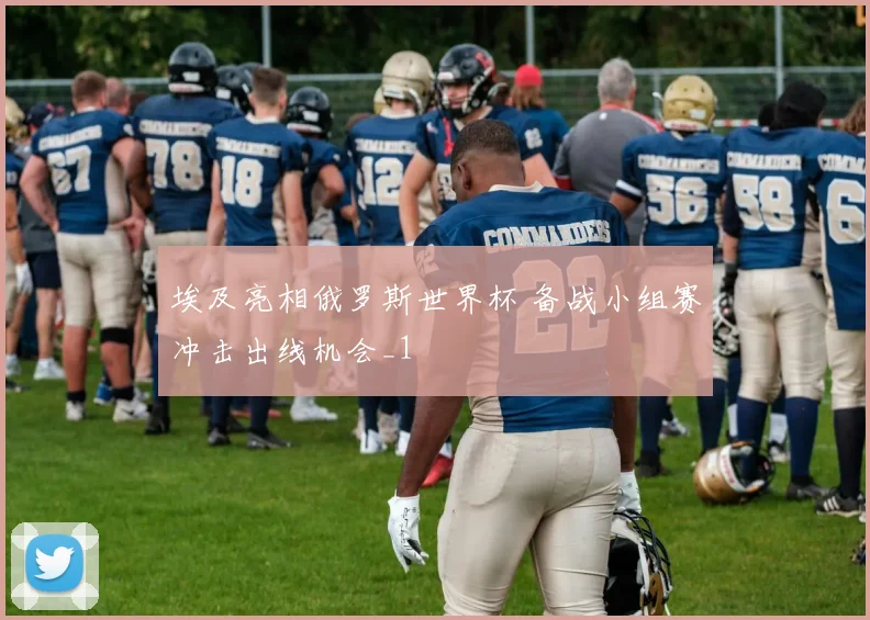 埃及亮相俄罗斯世界杯 备战小组赛冲击出线机会_1